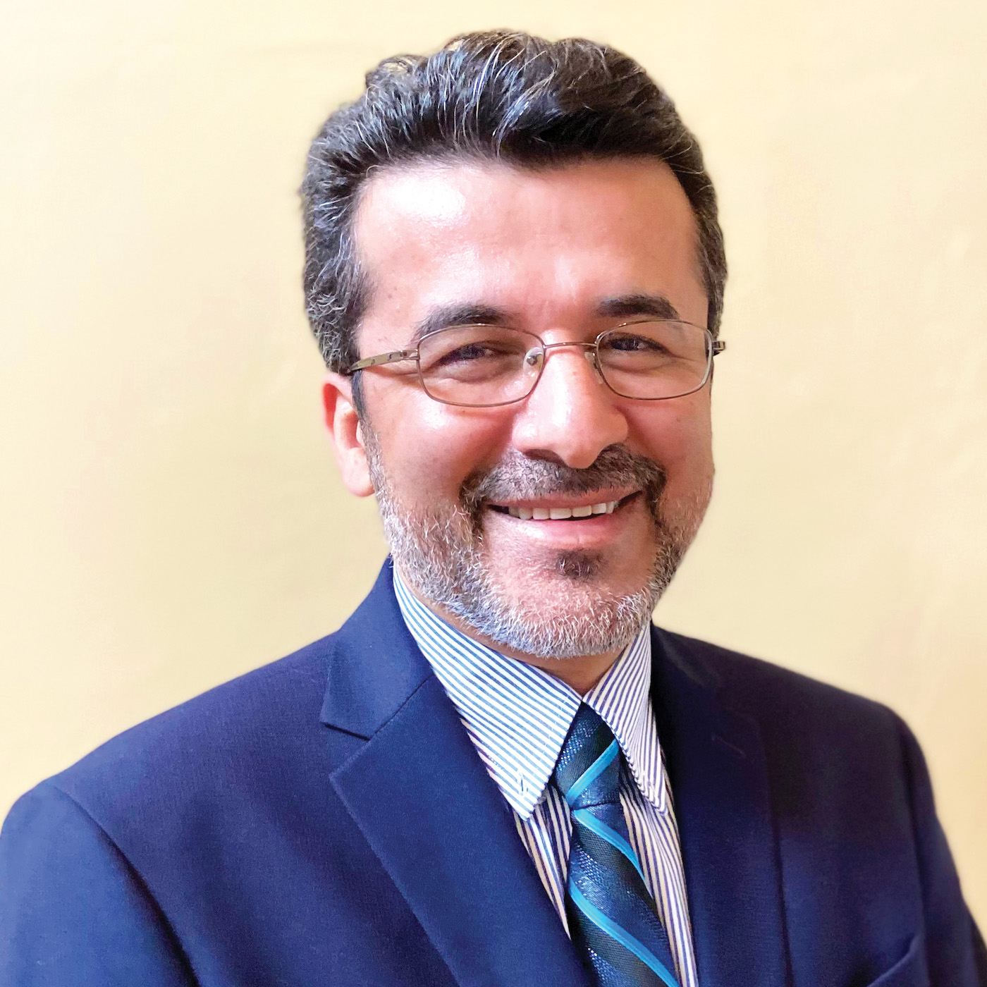 Faculty Member Mark Tehranipoor